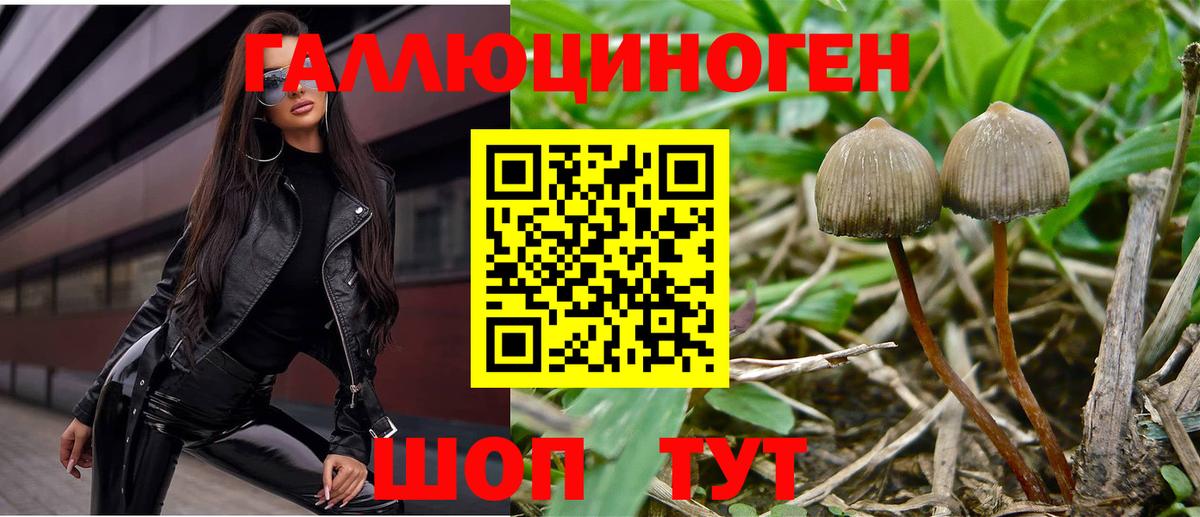 Псилоцибиновые грибы мухоморы  Псилоцибиновые грибы Cubensis  Вход с VPN  Камышлов 
